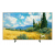 TCL 55A400 Pro 55-inch NXTVISION TV