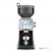BREVILLE BCG820BSS The Citrus Press™ 