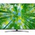 LG 55UQ8100PCB 55" 4K UHD Smart TV     