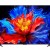 TCL 85P8K 85" P8K Series QLED 4K Google Smart TV