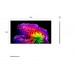 LG 樂金 OLED97G6PCA 97 吋 OLED evo AI G6 4K 智能電視 2026