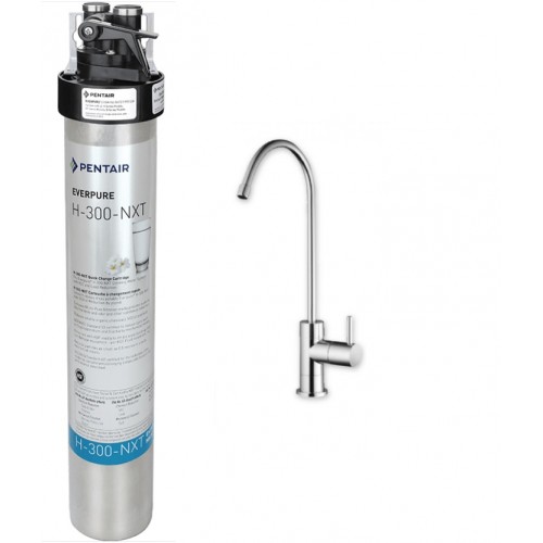 EVERPURE QL2 H300NXT Hidden Type Water Purifier 