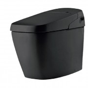 INAX IN-DV-G216-VH-W/BKG Toilet