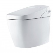 INAX IN-DV-G216-VH-W/BW1 Toilet