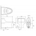 KOHLER 美國 San Raphael K-3722T-0 整體式地去水座廁 305mm KOHLER 美國 San Raphael K-3722T-0 整體式地去水座廁 305mm