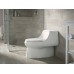 KOHLER 美國 San Raphael K-3722T-0 整體式地去水座廁 305mm KOHLER 美國 San Raphael K-3722T-0 整體式地去水座廁 305mm