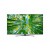 LG 樂金 50UQ811C0CB 50吋 UHD 4K TV