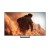 Sony 索尼 K-65XR70M2 65吋 BRAVIA 7 II RGB LED 4K HDR Google 智能電視