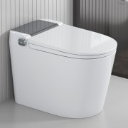 WALRUS WR-120919A-GG-BB Toilet