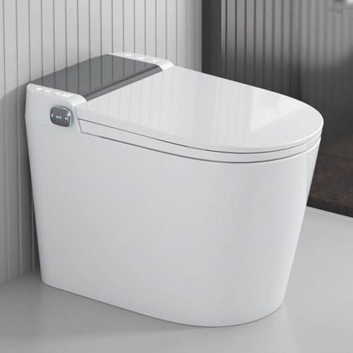 WALRUS WR-120919A-GG-BB Toilet