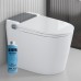 WALRUS WR-120919A-GG-BB Toilet