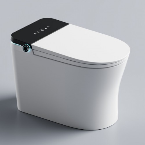 WALRUS WR-120929.2B-BB Toilet